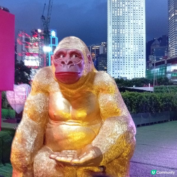 太陽馬戲團尾聲！打卡位勁吸睛📸！