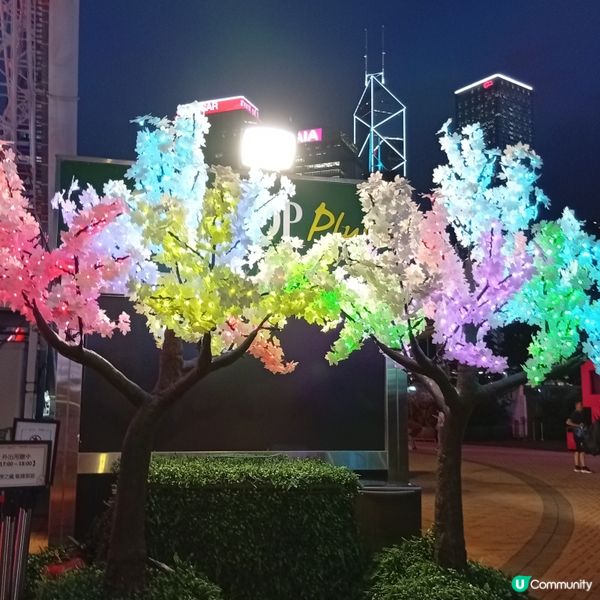 太陽馬戲團尾聲！打卡位勁吸睛📸！