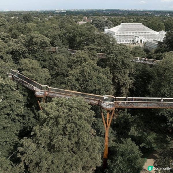 遊倫敦不能錯過的Kew Garden