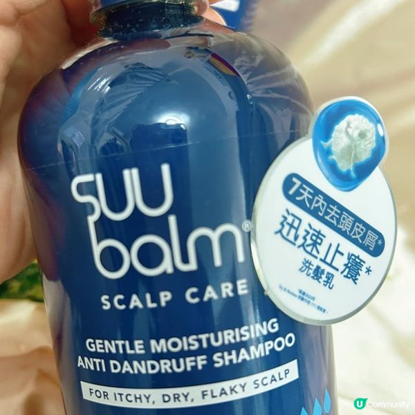 🌞 夏日頭皮救星！