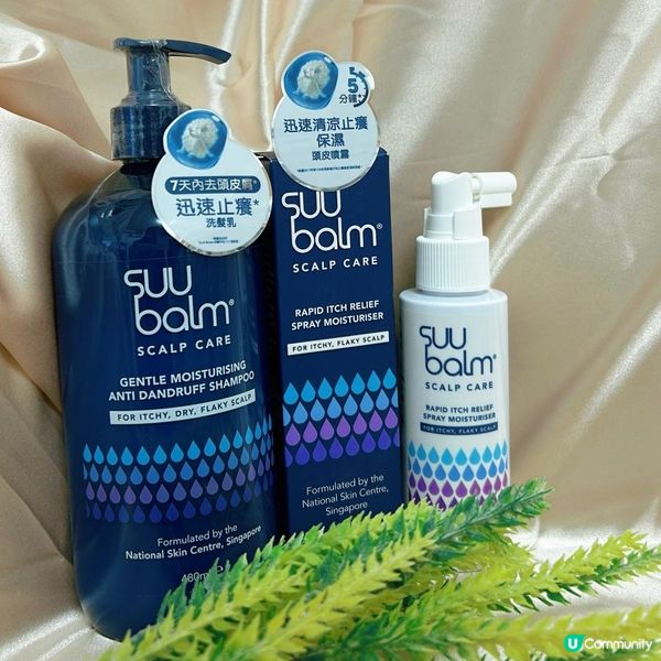 🌞 夏日頭皮救星！