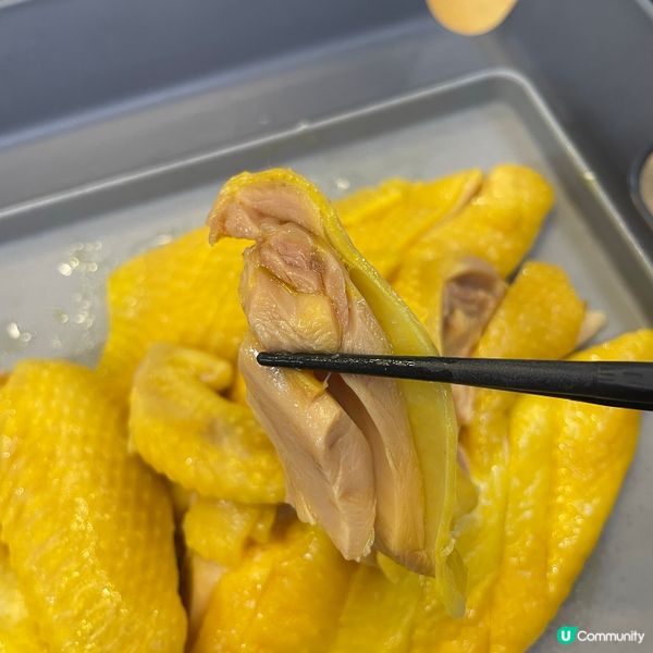 📝旺角 。全日雞實驗所