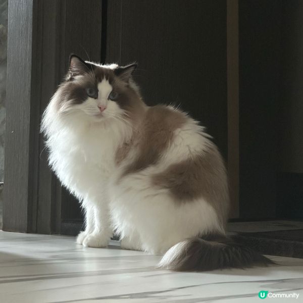 突然好想影Bubu既側面