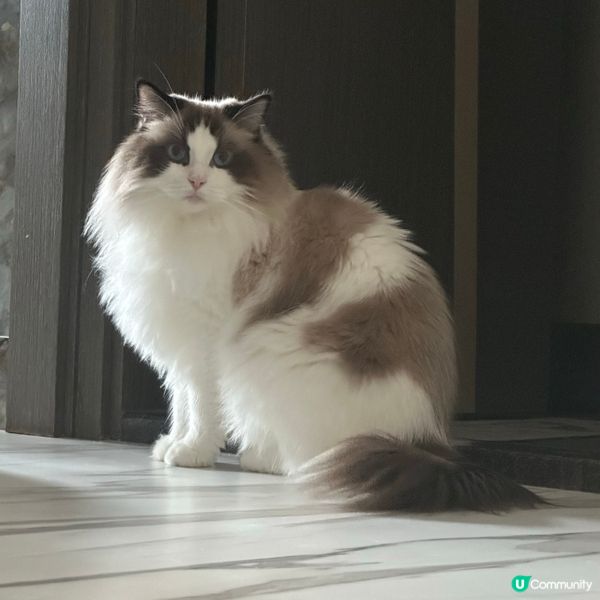 突然好想影Bubu既側面