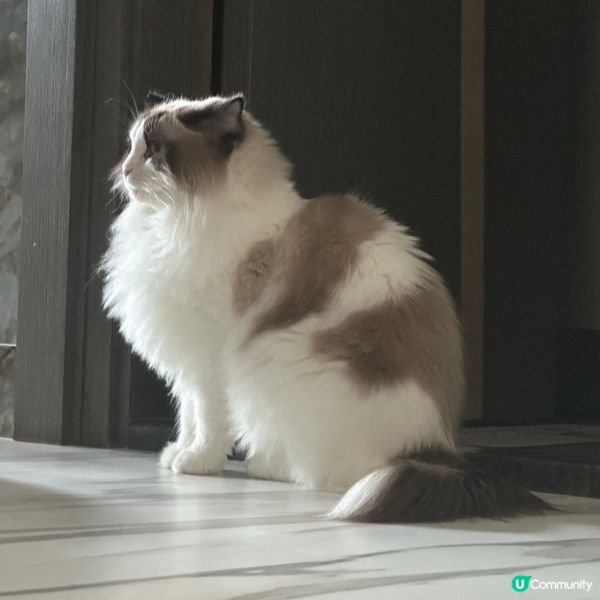 突然好想影Bubu既側面