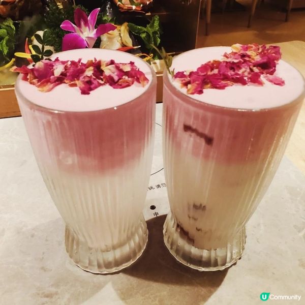 新城市廣場正宗泰式火鍋四面泰