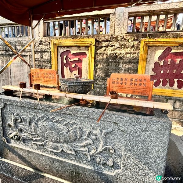 廈門南普陀朝拜攻略！🙏 拜佛食素全攻略！ 🤩