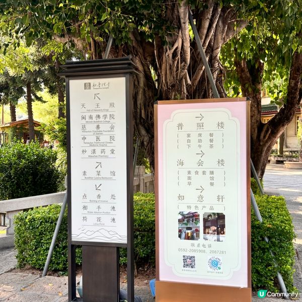 廈門南普陀朝拜攻略！🙏 拜佛食素全攻略！ 🤩