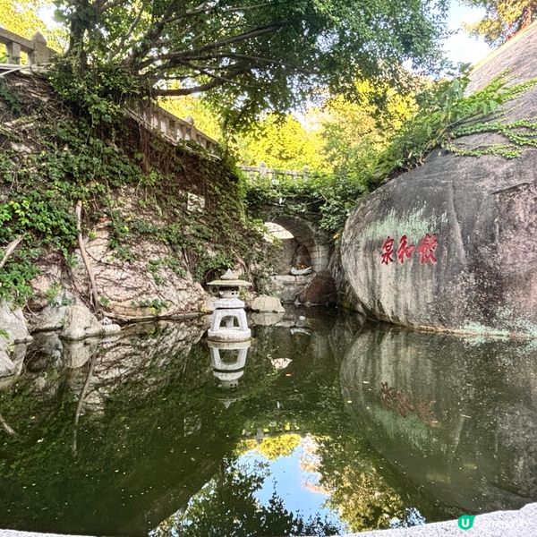 廈門南普陀朝拜攻略！🙏 拜佛食素全攻略！ 🤩