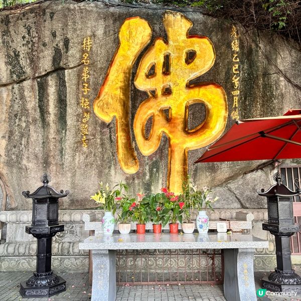 廈門南普陀朝拜攻略！🙏 拜佛食素全攻略！ 🤩