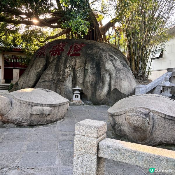 廈門南普陀朝拜攻略！🙏 拜佛食素全攻略！ 🤩