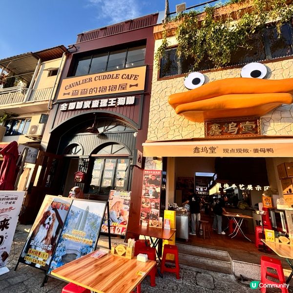 黃昏廈門沙坡尾睇日落🌅！食買玩全攻略！😋