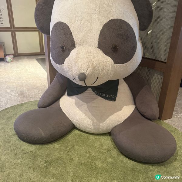 我和大熊貓有個約會