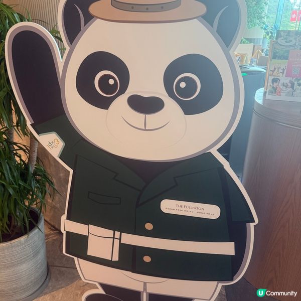 我和大熊貓有個約會