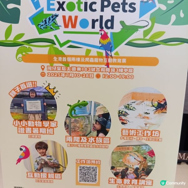 暑假帶仔女去邊好？兩棲爬蟲展🦎！