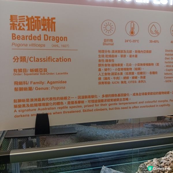 暑假帶仔女去邊好？兩棲爬蟲展🦎！
