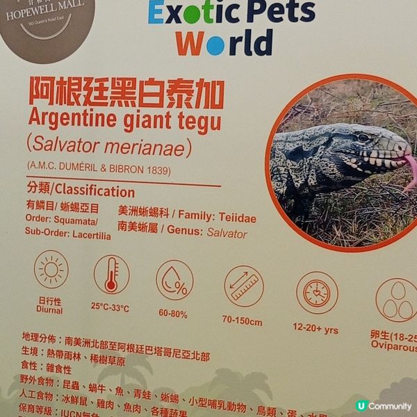 暑假帶仔女去邊好？兩棲爬蟲展🦎！