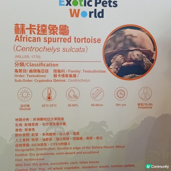 暑假帶仔女去邊好？兩棲爬蟲展🦎！