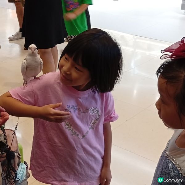 暑假帶仔女去邊好？兩棲爬蟲展🦎！