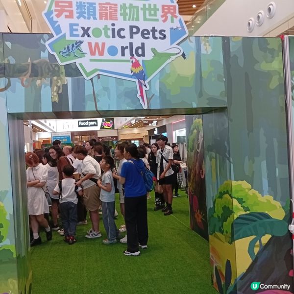 暑假帶仔女去邊好？兩棲爬蟲展🦎！