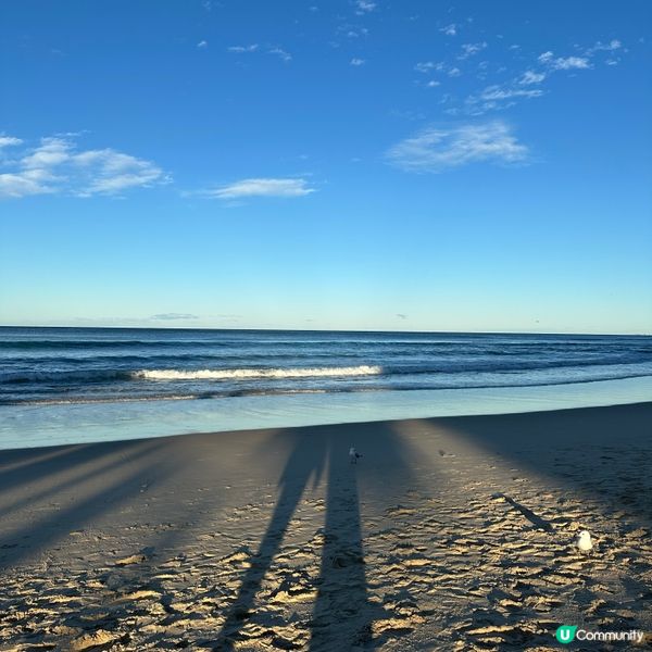 澳洲黃金海岸🏄‍♀️！衝浪者天堂沙灘打卡🏖️📸！