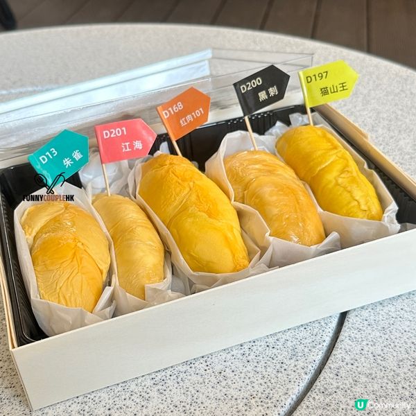 深圳榴槤大排檔🤤！5款榴槤拼盤😋！