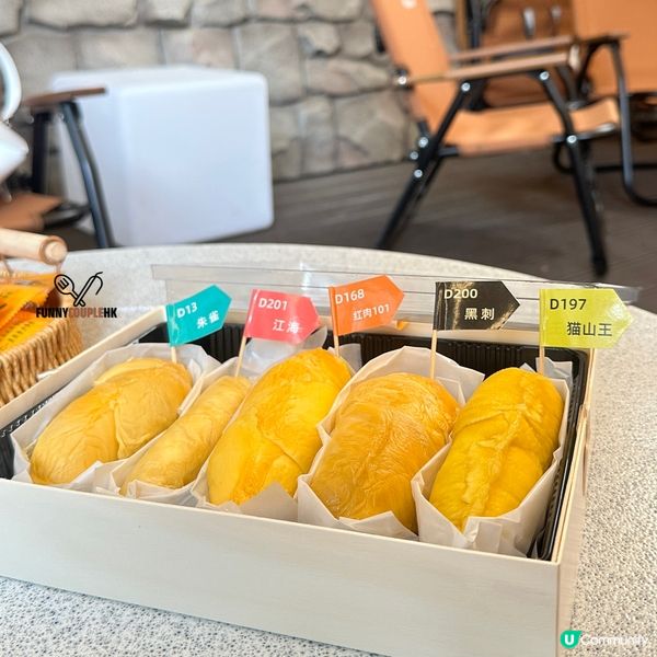 深圳榴槤大排檔🤤！5款榴槤拼盤😋！