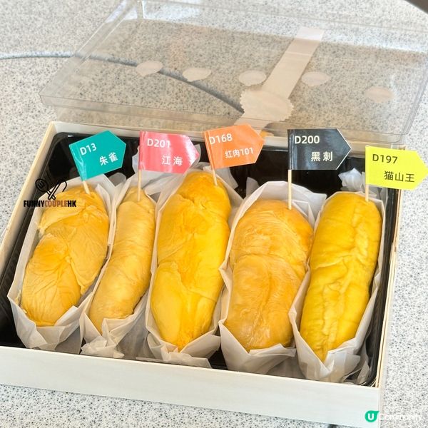 深圳榴槤大排檔🤤！5款榴槤拼盤😋！