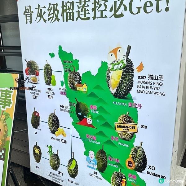 深圳榴槤大排檔🤤！5款榴槤拼盤😋！