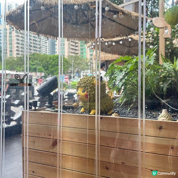 深圳榴槤大排檔🤤！5款榴槤拼盤😋！