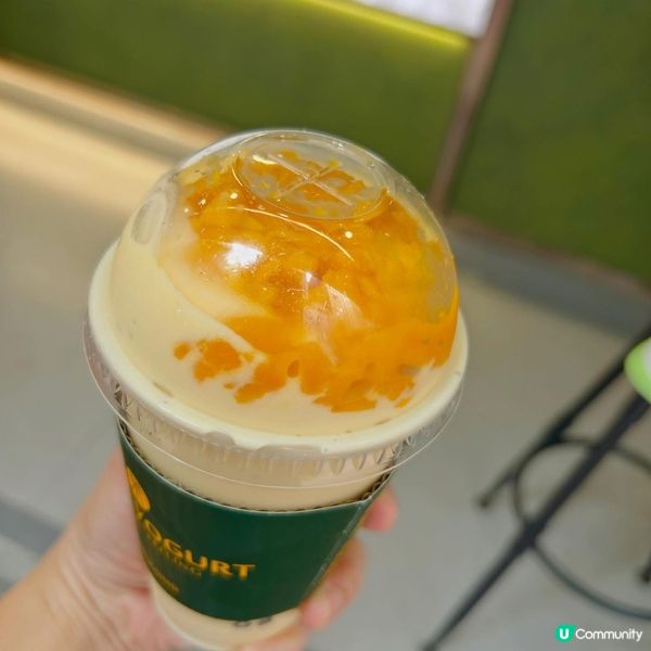 夏日消暑必飲！🥑🥭 牛油果/芒果乳酪奶昔！😋