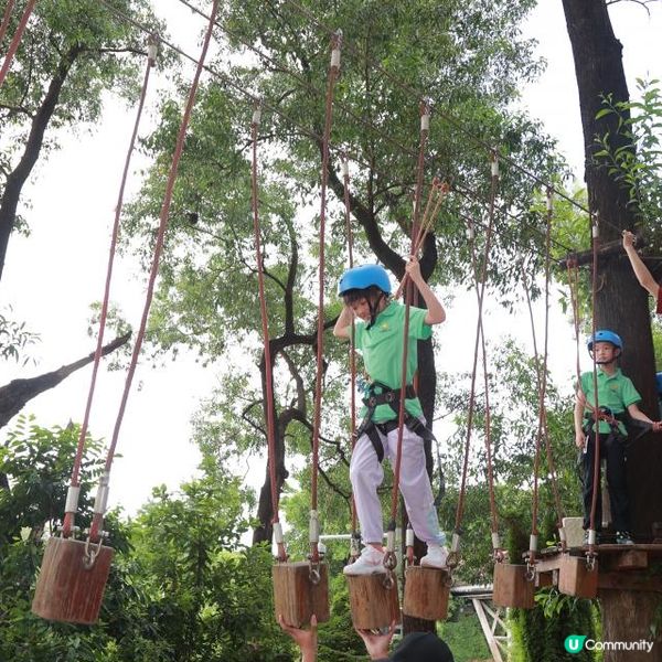 2025 先鋒研學營 | 瘋狂莊園計畫，開啟成長奇妙之旅