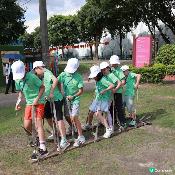 2025 先鋒研學營 | 瘋狂莊園計畫，開啟成長奇妙之旅