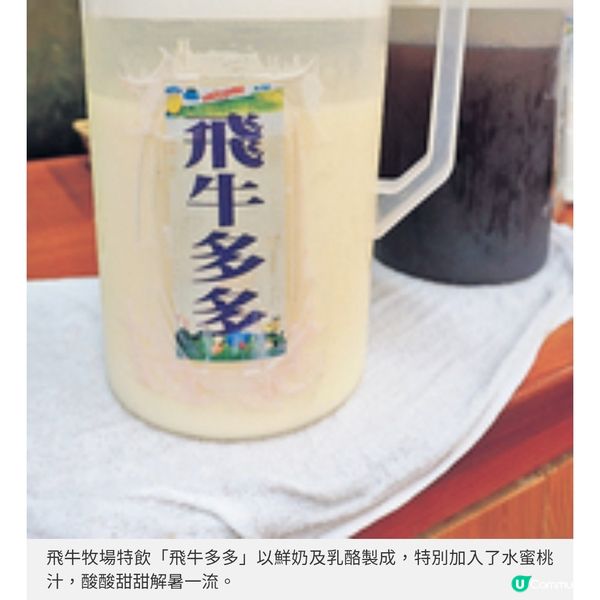 苗栗豪華一泊二食Glamping推介親子遊牧場體驗擠牛奶