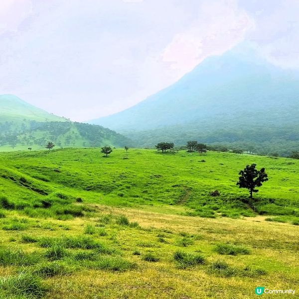 由布岳登山行⛰️！行山都咁正！😎