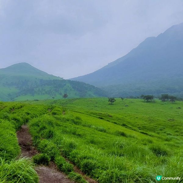 由布岳登山行⛰️！行山都咁正！😎