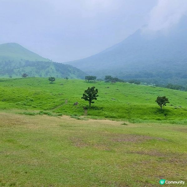 由布岳登山行⛰️！行山都咁正！😎