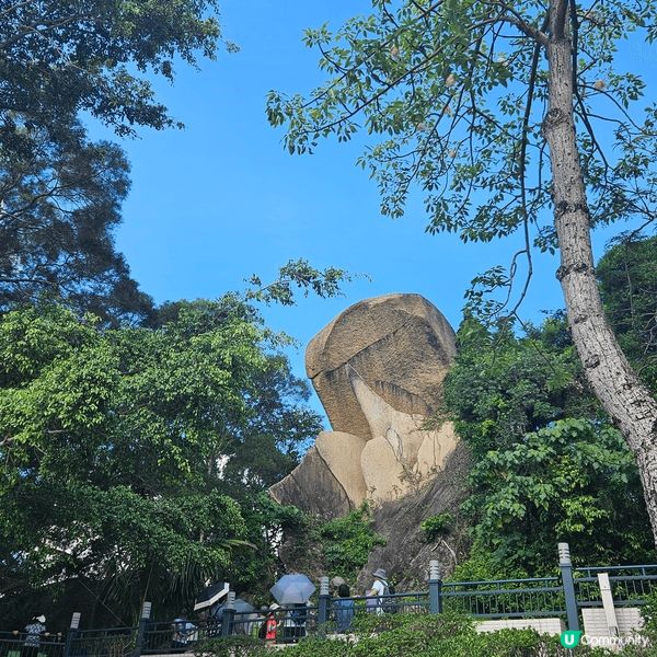 以土瓜灣海心公園為起點，先欣賞魚尾石及於海心亭吹吹風，之後沿...