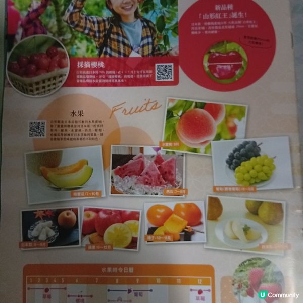 日本旅行重啟！跑馬拉松🏃‍♀️，食梨子🍐，浸溫泉♨️！