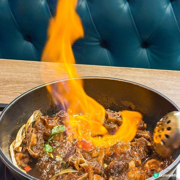 二鍋頭惹味雞煲🔥 無限量任食煲煲煲🤤