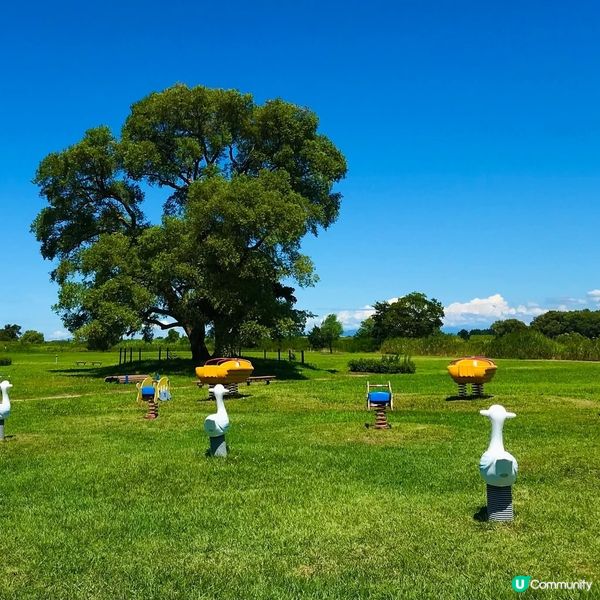 新潟南區Chill遊🌿！睇禾田踩單車🚴‍♀️