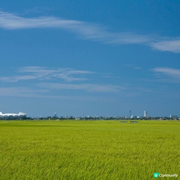 新潟南區Chill遊🌿！睇禾田踩單車🚴‍♀️