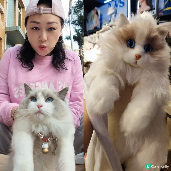 😻🦝真嘅一樣毛毛布偶🦝🤣😻😝🤣