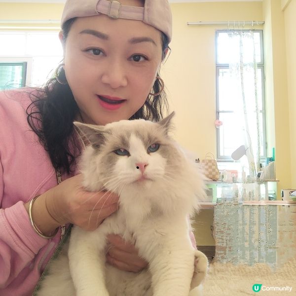 😻🦝真嘅一樣毛毛布偶🦝🤣😻😝🤣