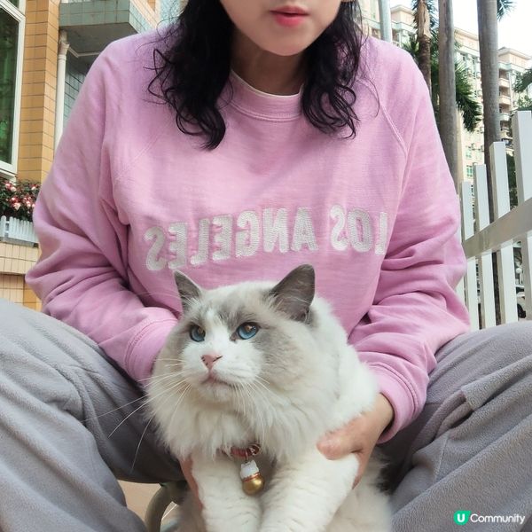 😻🦝真嘅一樣毛毛布偶🦝🤣😻😝🤣