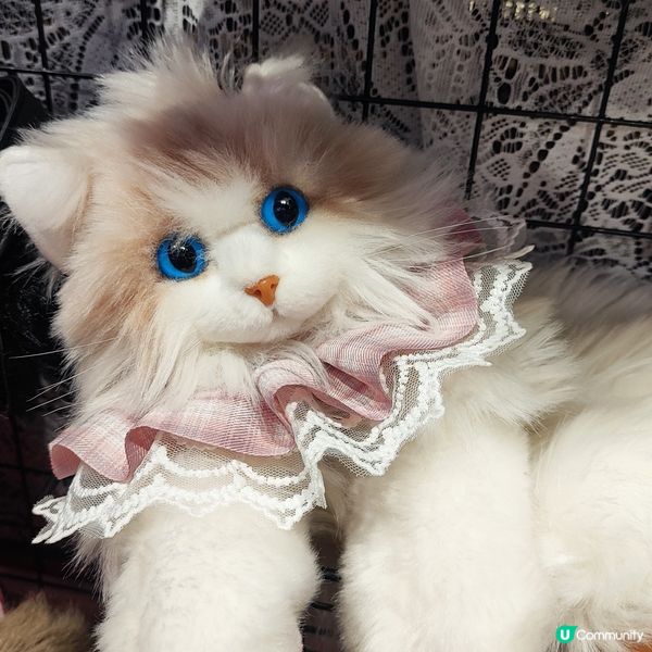 😻🦝真嘅一樣毛毛布偶🦝🤣😻😝🤣