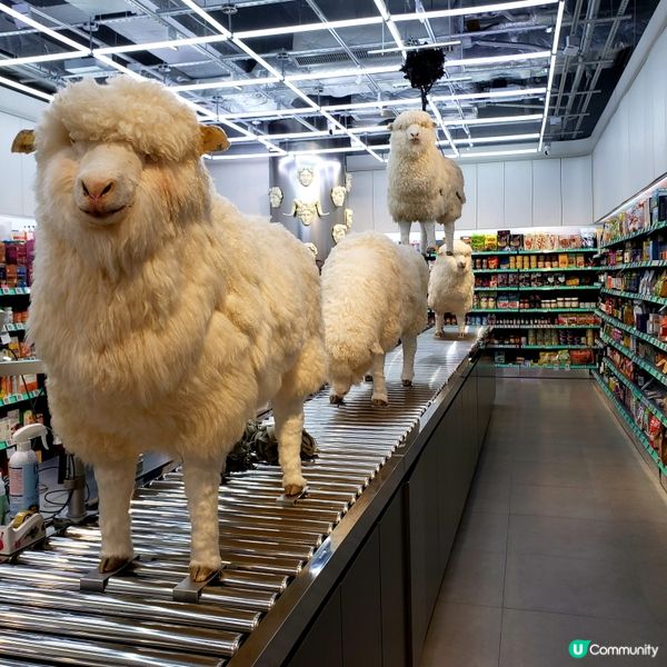 🛒環保綠惜超市開到奧海城！平到笑🤑！掃貨啦！