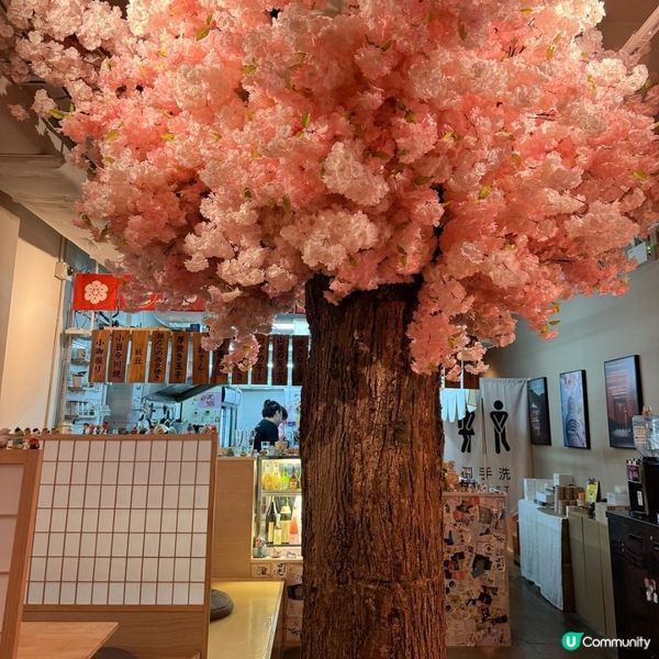 🌸櫻花樹下嘅和風料理體驗🍱