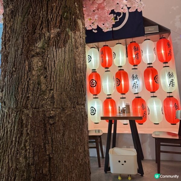 🌸櫻花樹下嘅和風料理體驗🍱