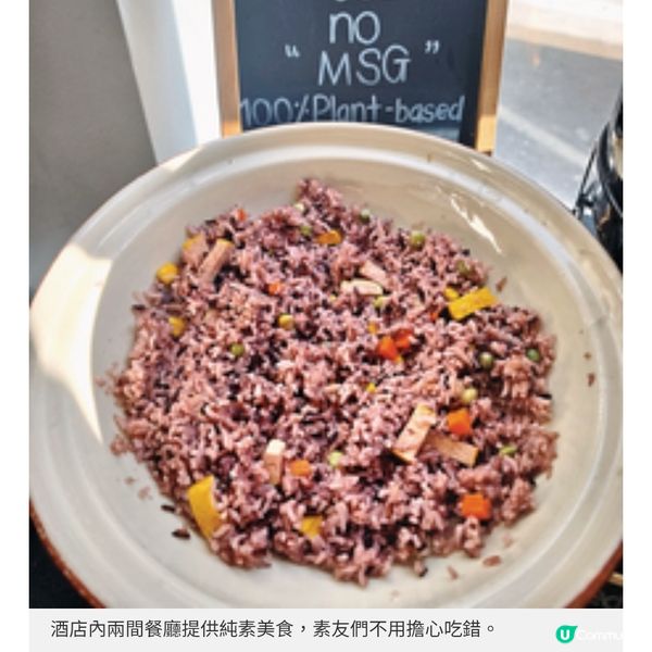 清邁塔佩門素食度假村